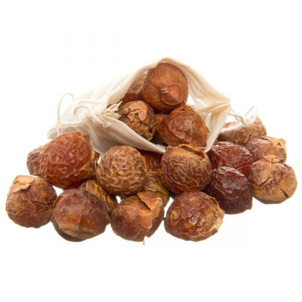 Soapnut shells, soap nuts